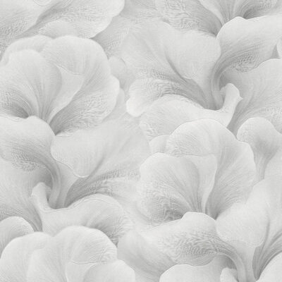 Papel Tapiz Whisper 10527-31